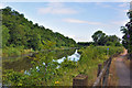 The River Ely and the Ely Trail - Cardiff