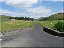 NT1642 : The road to Romanno Bridge leading off the A72 by James Denham