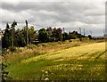 Field at Stanley Gate