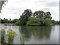 TQ2874 : The island on Mount Pond, Clapham Common by Chris Reynolds
