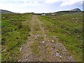 L7087 : Moorland track at Ballytouhy by Oliver Dixon