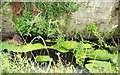 Goraghwood lock, Newry Canal (1)