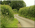 2009 : Cromhall Lane looking west