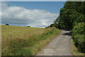 Bridleway on Fetcham Downs