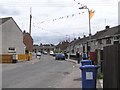 Bunting, McClay Park, Omagh