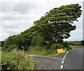 The turnoff on the B5111 for St Cwyllog Church, Llangwyllog