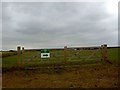 Sign for the Vale of York Polo Club