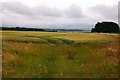 Arable field on The Ridgeway