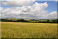 Cornish fields at Kernock near Pillaton