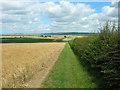 Bridleway near Tibthorpe Grange