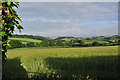 Trewashford farm and distant view - Pillaton