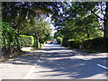 Hanging Hill Lane, Hutton