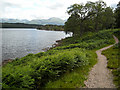 NN1886 : Great Glen Way at Loch Lochy by Iain Thompson