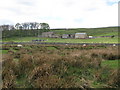 Pastures below New Meadows Farm