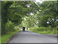 Two modes of transport on a Lancashire Lane