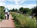 Tiverton : Grand Western Canal