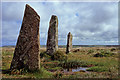 SW4335 : Standing Stones by ron layters