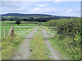 Gate and track across fields