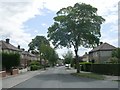 St Oswald Road - viewed from Greaves Avenue