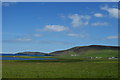 Grassland in Wasbister, Rousay