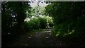 Footpath off Dodsley Lane near Easebourne