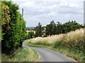 Taylors Lane, Higham