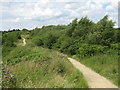 Path By The Railway