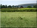 Grass field near Horningsham