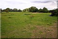 Looking across a field towards Sutton Courtenay