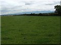 Pasture land south of Capel Peniel chapel