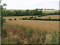 Fields near Ranger