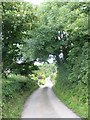 The road to Llwydiarth-Esgob