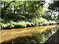 Peak Forest Canal