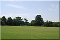 TG1908 : Earlham Park by N Chadwick