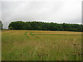 Farmland, Ganton Brow