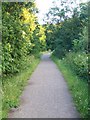 Cycle Path between Greasby & Arrowebrook