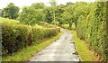 The Bresagh Road near Boardmills