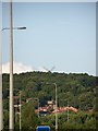 Bidston Windmill in the distance