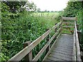 Footbridge across a small reen near St Brides Wentlooge