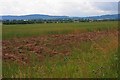 Field Near Foxrush Farm