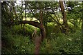 Footpath by the Thames