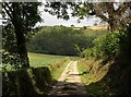 Concrete track, Dartington