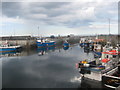 Seahouses Harbour in Northumberland