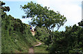 Lanteglos: above Wellake