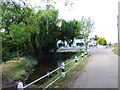 Village pond, St. Mary Hoo