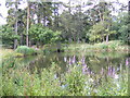TL1313 : Southdown Ponds on Harpenden Common by Geographer