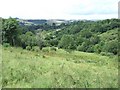 Duryard Valley Nature Reserve, Exeter