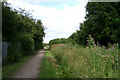 Northern Enclosure, Warwick Common