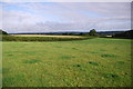 Tarka Trail: North-East of Staple Cross