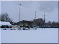 Ram Meadow Under Snow